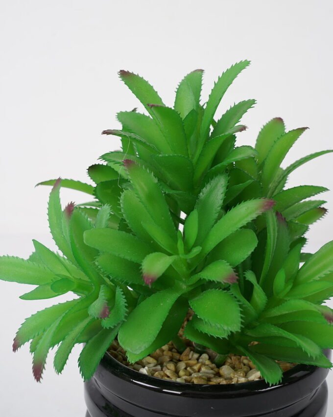 Artificial succulent 15*15*23cm Succulent in ceramic pot GS-51721132 Succulent YeahFlower is one of Chinese leading OEM manufacturers and exporters , supplying the silk flowers, wholesale artificial trees