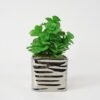 Artificial succulent 14*14*21cm Succulent in ceramic pot GS-51721133 Succulent YeahFlower is one of Chinese leading OEM manufacturers and exporters , supplying the silk flowers, wholesale artificial trees