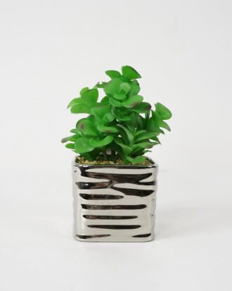 Artificial succulent 14*14*21cm Succulent in ceramic pot GS-51721133 Succulent YeahFlower is one of Chinese leading OEM manufacturers and exporters , supplying the silk flowers, wholesale artificial trees