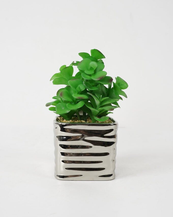 Artificial succulent 14*14*21cm Succulent in ceramic pot GS-51721133 Succulent YeahFlower is one of Chinese leading OEM manufacturers and exporters , supplying the silk flowers, wholesale artificial trees
