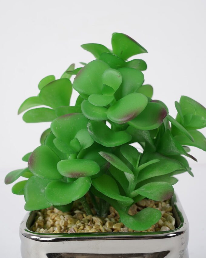 Artificial succulent 14*14*21cm Succulent in ceramic pot GS-51721133 Succulent YeahFlower is one of Chinese leading OEM manufacturers and exporters , supplying the silk flowers, wholesale artificial trees