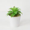Artificial succulent 17*17*20cm Succulent in ceramic pot GS-51721134 Succulent YeahFlower is one of Chinese leading OEM manufacturers and exporters , supplying the silk flowers, wholesale artificial trees