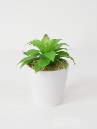 Artificial succulent 10*12*9cm Succulent in pp pot GS-51721135 Succulent 3,000+ sqm showroom with thousands of artificial flowers, plants & trees ready for global sourcing.