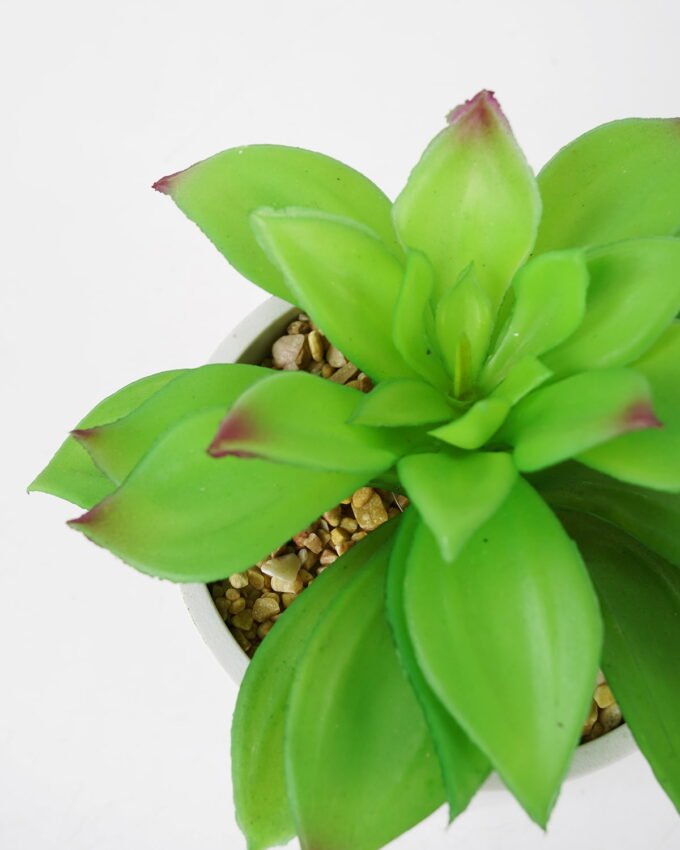 Artificial succulent 17*17*20cm Succulent in ceramic pot GS-51721134 Succulent YeahFlower is one of Chinese leading OEM manufacturers and exporters , supplying the silk flowers, wholesale artificial trees