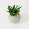Artificial succulent 14*14*14cm Succulent in ceramic pot GS-51721136 Succulent YeahFlower is one of Chinese leading OEM manufacturers and exporters , supplying the silk flowers, wholesale artificial trees