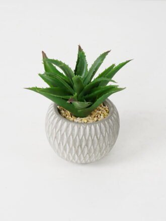 Artificial succulent 10*10*22cm Succulent in ceramic pot GS-51721131 Succulent 3,000+ sqm showroom with thousands of artificial flowers, plants & trees ready for global sourcing.