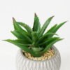 Artificial succulent 14*14*14cm Succulent in ceramic pot GS-51721136 Succulent YeahFlower is one of Chinese leading OEM manufacturers and exporters , supplying the silk flowers, wholesale artificial trees