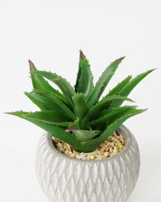 Artificial succulent 14*14*14cm Succulent in ceramic pot GS-51721136 Succulent YeahFlower is one of Chinese leading OEM manufacturers and exporters , supplying the silk flowers, wholesale artificial trees