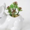 Artificial succulent 6*11*9cm Succulent in ceramic pot GS-51721139 Succulent YeahFlower is one of Chinese leading OEM manufacturers and exporters , supplying the silk flowers, wholesale artificial trees