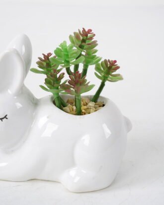 Artificial succulent 6*11*9cm Succulent in ceramic pot GS-51721139 Succulent YeahFlower is one of Chinese leading OEM manufacturers and exporters , supplying the silk flowers, wholesale artificial trees
