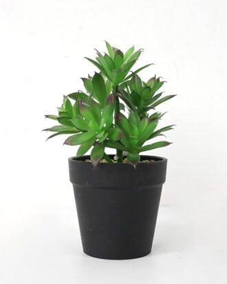 Artificial succulent 12*12*18cm Succulent in pe pot GS-51721107 Succulent YeahFlower is one of Chinese leading OEM manufacturers and exporters , supplying the silk flowers, wholesale artificial trees