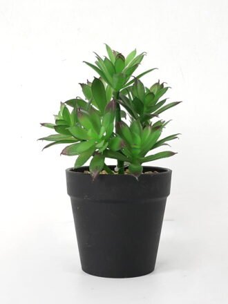 Artificial succulent 11*11*18cm Succulent in pe pot GS-51721108 Succulent 3,000+ sqm showroom with thousands of artificial flowers, plants & trees ready for global sourcing.