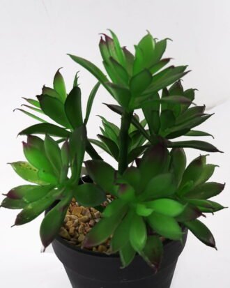 Artificial succulent 12*12*18cm Succulent in pe pot GS-51721107 Succulent YeahFlower is one of Chinese leading OEM manufacturers and exporters , supplying the silk flowers, wholesale artificial trees