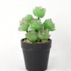 Artificial succulent 11*11*18cm Succulent in pe pot GS-51721108 Succulent YeahFlower is one of Chinese leading OEM manufacturers and exporters , supplying the silk flowers, wholesale artificial trees