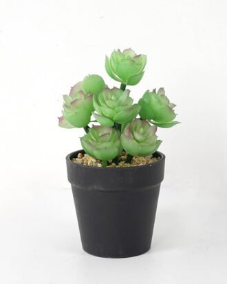 Artificial succulent 11*11*18cm Succulent in pe pot GS-51721108 Succulent YeahFlower is one of Chinese leading OEM manufacturers and exporters , supplying the silk flowers, wholesale artificial trees