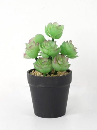 Artificial succulent 12*12*18cm Succulent in pe pot GS-51721107 Succulent 3,000+ sqm showroom with thousands of artificial flowers, plants & trees ready for global sourcing.
