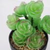 Artificial succulent 11*11*18cm Succulent in pe pot GS-51721108 Succulent YeahFlower is one of Chinese leading OEM manufacturers and exporters , supplying the silk flowers, wholesale artificial trees