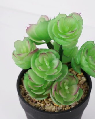 Artificial succulent 11*11*18cm Succulent in pe pot GS-51721108 Succulent YeahFlower is one of Chinese leading OEM manufacturers and exporters , supplying the silk flowers, wholesale artificial trees