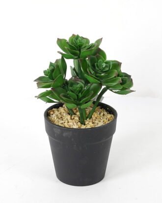 Artificial succulent 12*12*18cm Succulent in pe pot GS-51721109 Succulent YeahFlower is one of Chinese leading OEM manufacturers and exporters , supplying the silk flowers, wholesale artificial trees