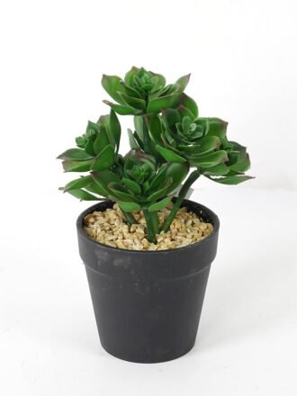 Artificial succulent 11*11*18cm Succulent in pe pot GS-51721108 Succulent 3,000+ sqm showroom with thousands of artificial flowers, plants & trees ready for global sourcing.