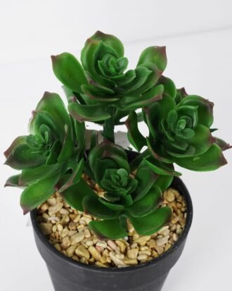 Artificial succulent 12*12*18cm Succulent in pe pot GS-51721109 Succulent YeahFlower is one of Chinese leading OEM manufacturers and exporters , supplying the silk flowers, wholesale artificial trees
