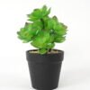 Artificial succulent 12*12*18cm Succulent in pe pot GS-51721110 Succulent YeahFlower is one of Chinese leading OEM manufacturers and exporters , supplying the silk flowers, wholesale artificial trees