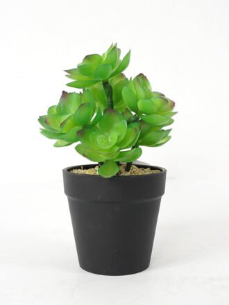 Artificial succulent 14*14*20cm Succulent in pe pot GS-51721111 Succulent 3,000+ sqm showroom with thousands of artificial flowers, plants & trees ready for global sourcing.