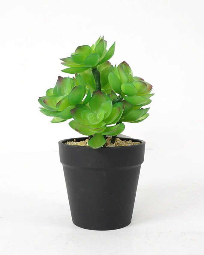 Artificial succulent 12*12*18cm Succulent in pe pot GS-51721110 Succulent YeahFlower is one of Chinese leading OEM manufacturers and exporters , supplying the silk flowers, wholesale artificial trees