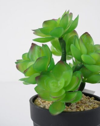 Artificial succulent 12*12*18cm Succulent in pe pot GS-51721110 Succulent YeahFlower is one of Chinese leading OEM manufacturers and exporters , supplying the silk flowers, wholesale artificial trees
