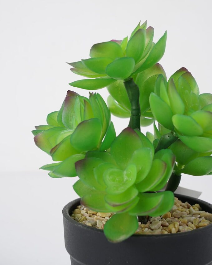 Artificial succulent 12*12*18cm Succulent in pe pot GS-51721110 Succulent YeahFlower is one of Chinese leading OEM manufacturers and exporters , supplying the silk flowers, wholesale artificial trees