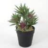 Artificial succulent 14*14*20cm Succulent in pe pot GS-51721111 Succulent YeahFlower is one of Chinese leading OEM manufacturers and exporters , supplying the silk flowers, wholesale artificial trees