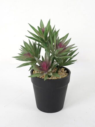 Artificial succulent 12*12*18cm Succulent in pe pot GS-51721110 Succulent 3,000+ sqm showroom with thousands of artificial flowers, plants & trees ready for global sourcing.