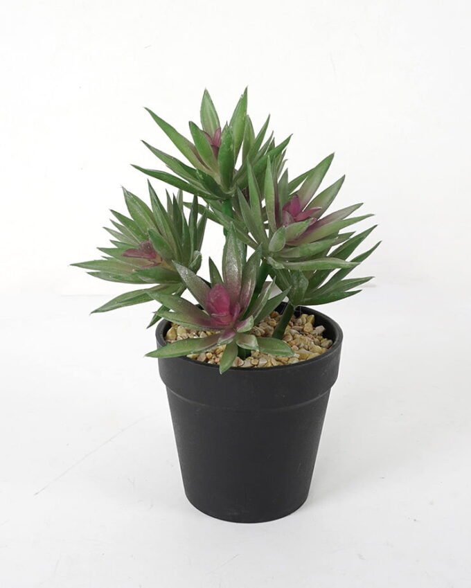 Artificial succulent 14*14*20cm Succulent in pe pot GS-51721111 Succulent YeahFlower is one of Chinese leading OEM manufacturers and exporters , supplying the silk flowers, wholesale artificial trees