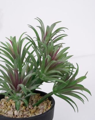 Artificial succulent 14*14*20cm Succulent in pe pot GS-51721111 Succulent YeahFlower is one of Chinese leading OEM manufacturers and exporters , supplying the silk flowers, wholesale artificial trees