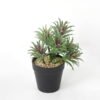 Artificial succulent 13*13*19cm Succulent in pe pot GS-51721112 Succulent YeahFlower is one of Chinese leading OEM manufacturers and exporters , supplying the silk flowers, wholesale artificial trees