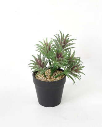 Artificial succulent 13*13*19cm Succulent in pe pot GS-51721112 Succulent YeahFlower is one of Chinese leading OEM manufacturers and exporters , supplying the silk flowers, wholesale artificial trees