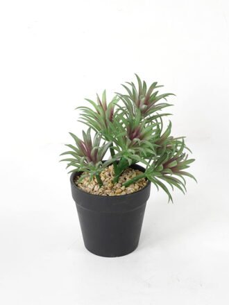 Artificial succulent 14*14*20cm Succulent in pe pot GS-51721111 Succulent 3,000+ sqm showroom with thousands of artificial flowers, plants & trees ready for global sourcing.