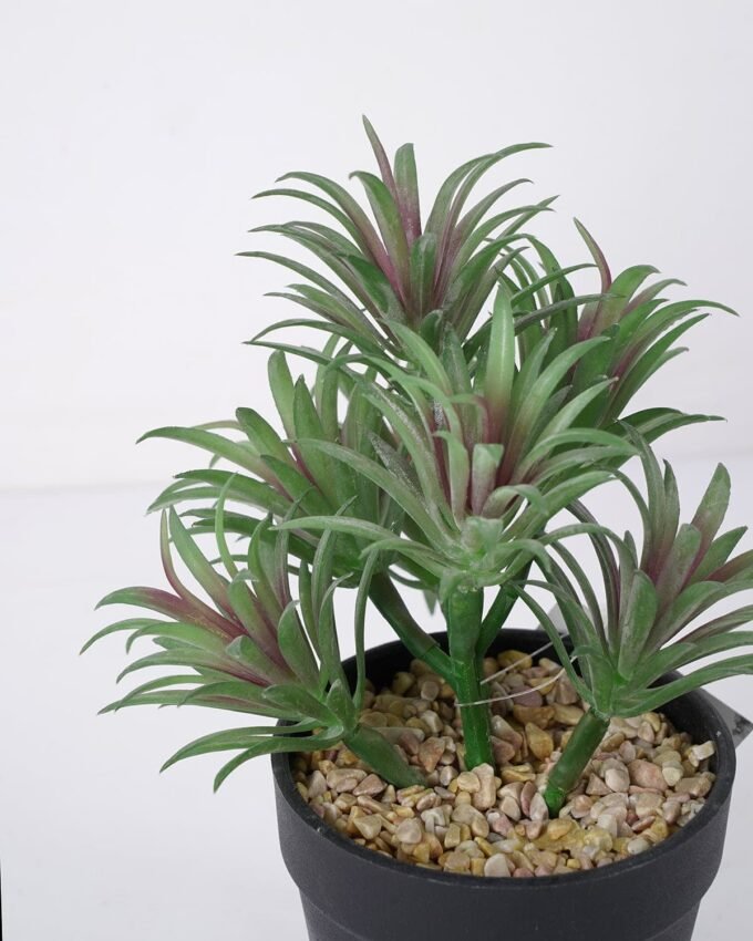 Artificial succulent 13*13*19cm Succulent in pe pot GS-51721112 Succulent YeahFlower is one of Chinese leading OEM manufacturers and exporters , supplying the silk flowers, wholesale artificial trees