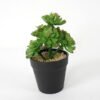 Artificial succulent 11*11*18cm Succulent in pe pot GS-51721113 Succulent YeahFlower is one of Chinese leading OEM manufacturers and exporters , supplying the silk flowers, wholesale artificial trees