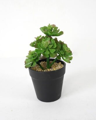 Artificial succulent 11*11*18cm Succulent in pe pot GS-51721113 Succulent YeahFlower is one of Chinese leading OEM manufacturers and exporters , supplying the silk flowers, wholesale artificial trees