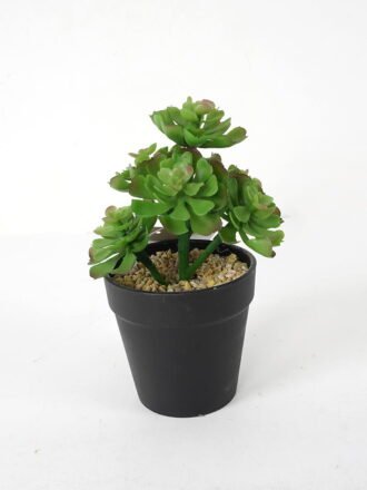 Artificial succulent 11*11*17cm Succulent in pe pot GS-51721119 Succulent 3,000+ sqm showroom with thousands of artificial flowers, plants & trees ready for global sourcing.