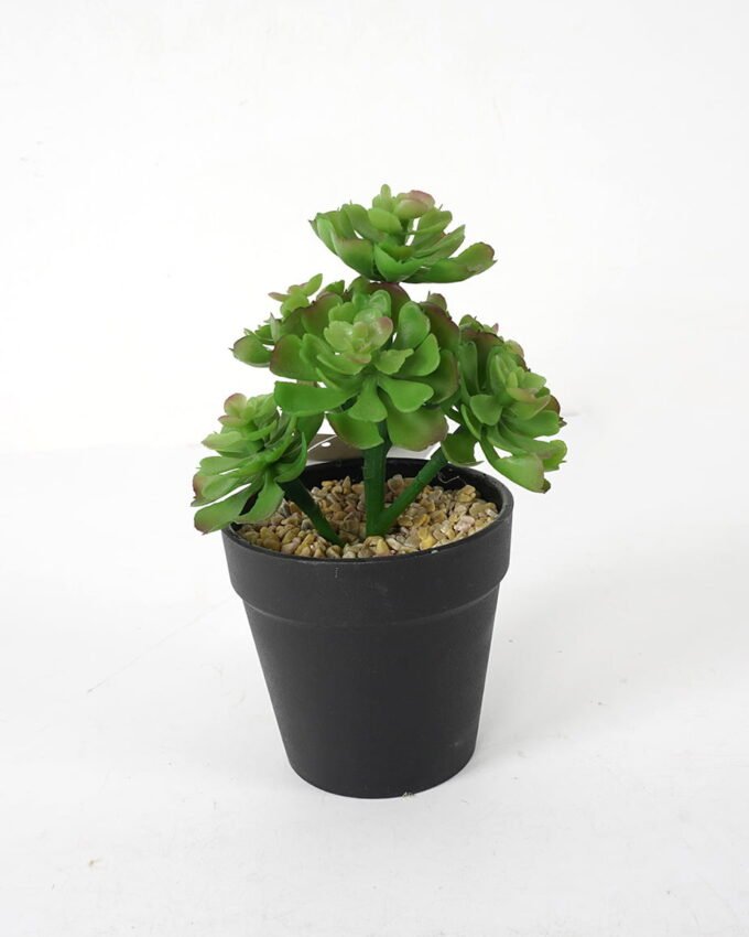 Artificial succulent 11*11*18cm Succulent in pe pot GS-51721113 Succulent YeahFlower is one of Chinese leading OEM manufacturers and exporters , supplying the silk flowers, wholesale artificial trees