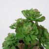 Artificial succulent 11*11*18cm Succulent in pe pot GS-51721113 Succulent YeahFlower is one of Chinese leading OEM manufacturers and exporters , supplying the silk flowers, wholesale artificial trees