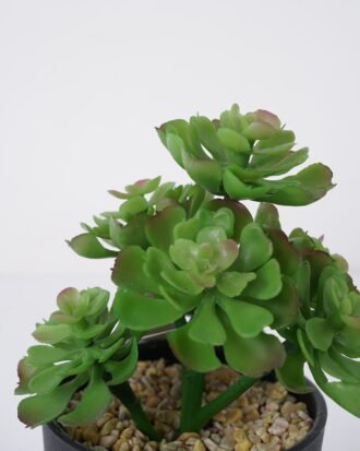 Artificial succulent 11*11*18cm Succulent in pe pot GS-51721113 Succulent YeahFlower is one of Chinese leading OEM manufacturers and exporters , supplying the silk flowers, wholesale artificial trees