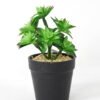 Artificial succulent 11*11*18cm Succulent in pe pot GS-51721114 Succulent YeahFlower is one of Chinese leading OEM manufacturers and exporters , supplying the silk flowers, wholesale artificial trees