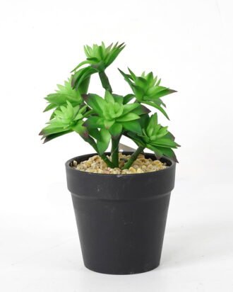 Artificial succulent 11*11*18cm Succulent in pe pot GS-51721114 Succulent YeahFlower is one of Chinese leading OEM manufacturers and exporters , supplying the silk flowers, wholesale artificial trees