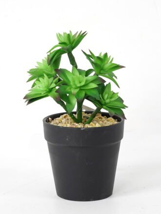 Artificial succulent 13*13*18cm Succulent in pe pot GS-51721115 Succulent 3,000+ sqm showroom with thousands of artificial flowers, plants & trees ready for global sourcing.