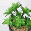 Artificial succulent 11*11*18cm Succulent in pe pot GS-51721114 Succulent YeahFlower is one of Chinese leading OEM manufacturers and exporters , supplying the silk flowers, wholesale artificial trees