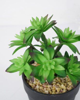 Artificial succulent 11*11*18cm Succulent in pe pot GS-51721114 Succulent YeahFlower is one of Chinese leading OEM manufacturers and exporters , supplying the silk flowers, wholesale artificial trees
