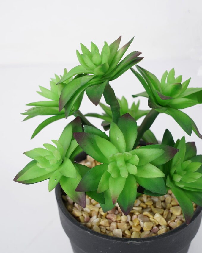 Artificial succulent 11*11*18cm Succulent in pe pot GS-51721114 Succulent YeahFlower is one of Chinese leading OEM manufacturers and exporters , supplying the silk flowers, wholesale artificial trees